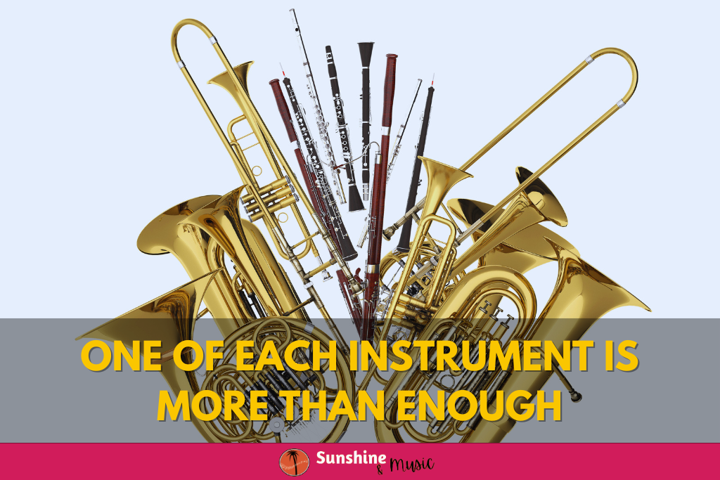 instruments at a musical instrument petting zoo